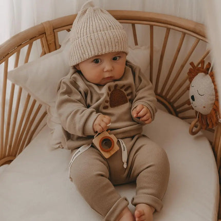 Spring Autumn Baby Boy Girls Clothes Cotton Girl Clothing Sets Long-Sleeved Sweatshirts+Pants Infant Clothes 2pcs Suit Outfits