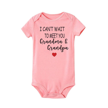 Hello Auntie I Can't Wait To Meet You Announcement Baby Toddler Bodysuits Pregnancy Clothes Boy Girl Romper Infant Shower Gifts