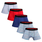 5pcs B2 -3 / L / China Mainland