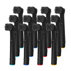 12 Pcs