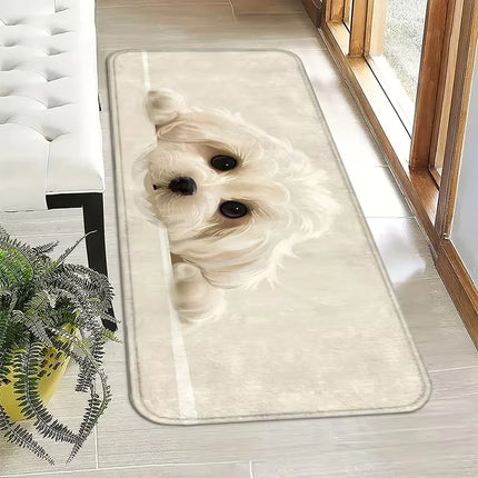 Maltese Dog Design Welcome Mat Spring And Summer, Outdoor Theme, Machine Washable, Perfect Entry Rug for Indoor And Outdoor Use