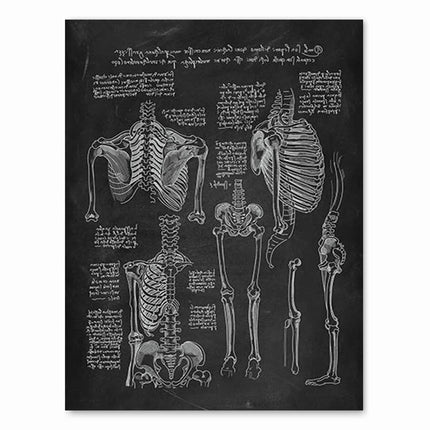 Human Anatomy Artwork Medical Clinic Wall Picture Skeleton Organ Muscle System Vintage Canvas Print Body Education Poster