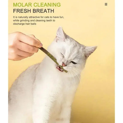 Natural Matatabi Cat Stick Mint Caught Bite Excited Rods Silvervine For Cat Teeth Cleaning Treating Pet Supply Cat Toys