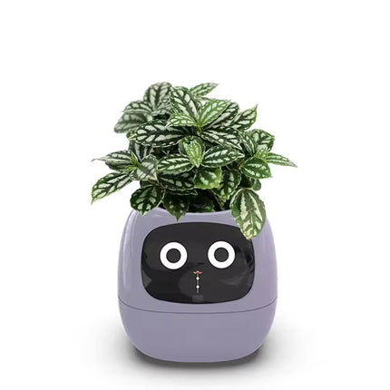 Smart AI Desktop Toy Planter Endless Fun Over 49 Rich Expressions 7 Smart Sensors And AI Chips Make Raising Plants Easy And Fun