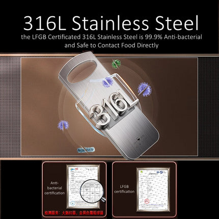 LFGB Certification Pure 316 Stainless Steel Kitchen Mandolin 6 Pieces Ultra Sharp Blades Vegetable Slicer Grater with Protector