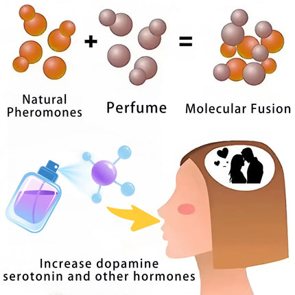 New Pheromone Perfume High Quality Charm Long Lasting Fragrance Attractive To Men and Women Strongly Attracting The Opposite Sex