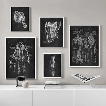 Human Anatomy Artwork Medical Clinic Wall Picture Skeleton Organ Muscle System Vintage Canvas Print Body Education Poster