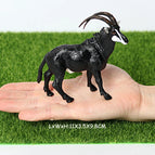 Black antelope-2