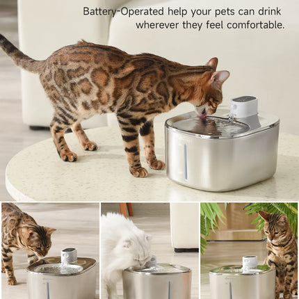 APETDOLA 4L Wireless Cat Water Fountain Auto Sensor Drinking Fountain For Cats Dog Drinker Pet Water Dispenser Accessories