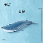 blue whale
