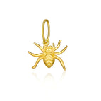 Gold Spider