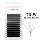 7D W Shape / C / 0.07mm|12mm