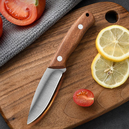 Fruit knife, wooden handle, high-end multi-purpose knife, western-style knife, steak knife, barbecue knife, peeling knife