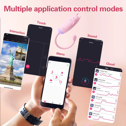 APP Bluetooth Controll Vagina Ball Vibrators Panities Wearing Clitoris G Spot Vibrating Love Egg Adult Goods Sex Toys for Women