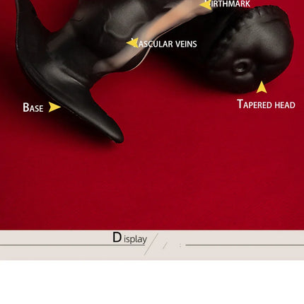 Nothosaur Soft Silicone Anal Plugs Beginner Anal Stimulator Trainer Sex Play Toy for Women Couples G-spot Massage Sex Products