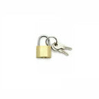 Spare Lock for D