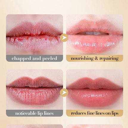 Collagen Moisturizing lipstick Dry Lip Balm in Winter can moisturize skin for a long time