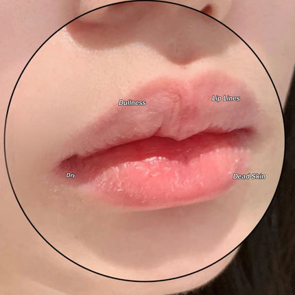 Moisturizing Lip Cream Rotatable Paste Repair Lip Lines Long-lasting Moisture Hydrating Makeup Base Lip Balm Care Treatment 12g