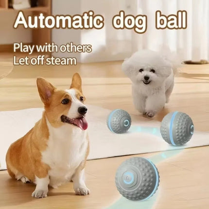 USB Rechargeable Smart Dog Toys Automatic Jumping Electronic Jumping Ball Chew Resistant Interactive Function Electronic Ball