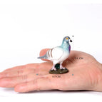Pigeon-3