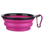 Purple / 650ML