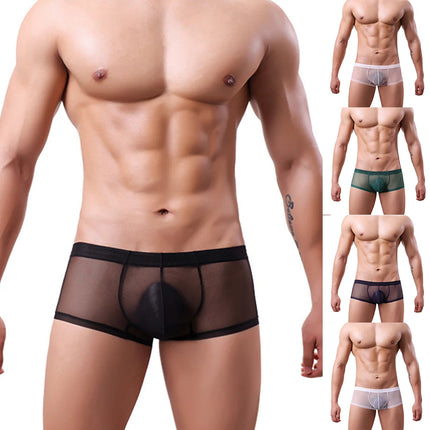 Men Transparent Boxers See Through Male Underpants Sexy Mid-Waist Panties Lingerie Intimates Summer Breathable Underwear