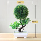 jinyushu green