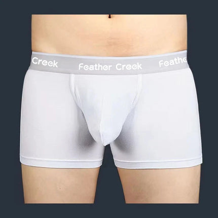 Large Pouch Men's Panties U Convex Front Pocket Flat Foot Triangle Sexy Shorts Fashionable Underwear for Men