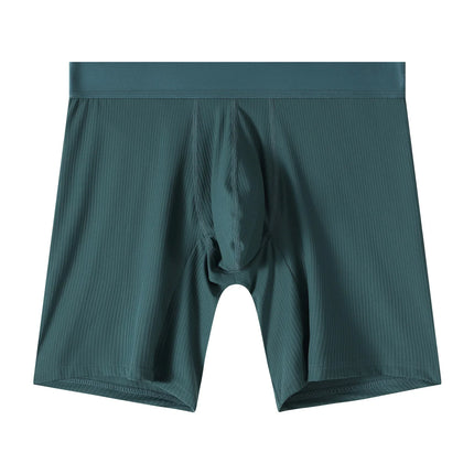 Mens Underwear Boxer Shorts Hombre Soft Nylon Panites Man Breathable U Convex Pouch Extended Underpant Male Trunks Cueca L-XXL