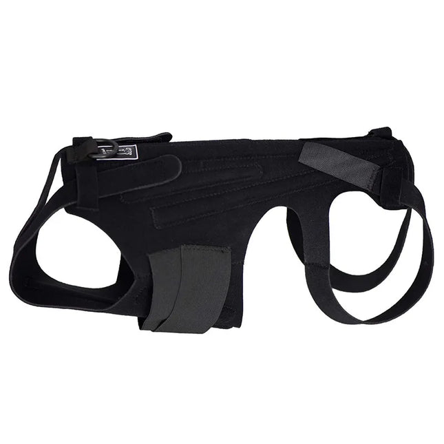 Breathable Dog Back Brace Comfortable Pet Back Brace for IVDD Back Protector Helps Injury Recovery and Rehabilitation S/M/L