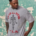 XL / 13