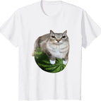 DM1091-White / S
