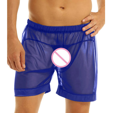 Men's Lingerie Mesh Sheer Loose Fit Boxer Shorts Male Underwear Transparent Underwear Swimming Trunks Summer Thin Beachwear