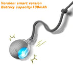 Gray Tail Ball / 2026 Version