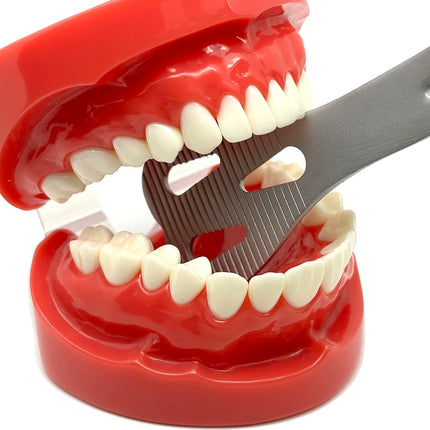 Lingual Isolation Mouth Retractor Dental Oral Opener Wider Cheek Lip Gag for Dentistry Procedures Fits Adults