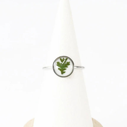 Wency Stainless Steel Dried Flower Round Rings For Women Eternal Flower Open Finger Ring Jewelry Wedding Band Gift Wholesale New