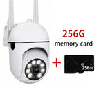 1ps Cam 256GB Card / AU Plug