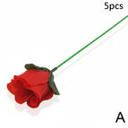 AQ5