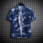 3XL / BDS120