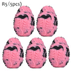 5PCS R5