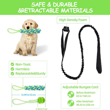 Spring Pole Dog Rope Toys, Dog Interactive Tether Tug of War Toy, Indoor/Outdoor Bungee Hanging Dogs Toy