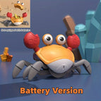 B864 Orange