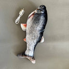 Silver Crucian