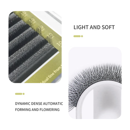 GLAMLASH 4D5D W Style Flower Lash Premade Volume Fans Eyelash Extension Natural Soft Light Lash W Shaped