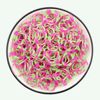 600pcs10