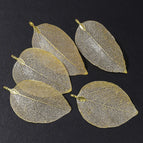 Gold Color