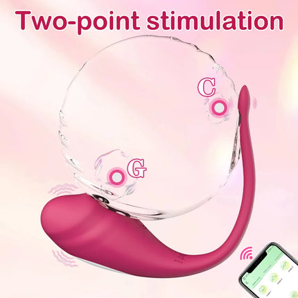 APP Controlled Vaginal Vibrators G Spot 9 Speed Anal Vibrating Egg Massager Wearable Stimulator Adult Sex Toys for Women Couples