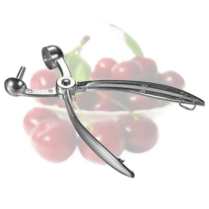 Silver Cherry Core Remover Aluminum Alloy Cherry Olive Ter Stoner Fruit Remover Core Fruits Cherry Pitter Kitchen Gadgets
