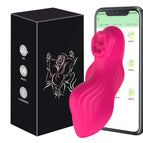 APP Vibrator