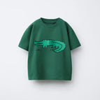 ZZ00151-P12 / 6T